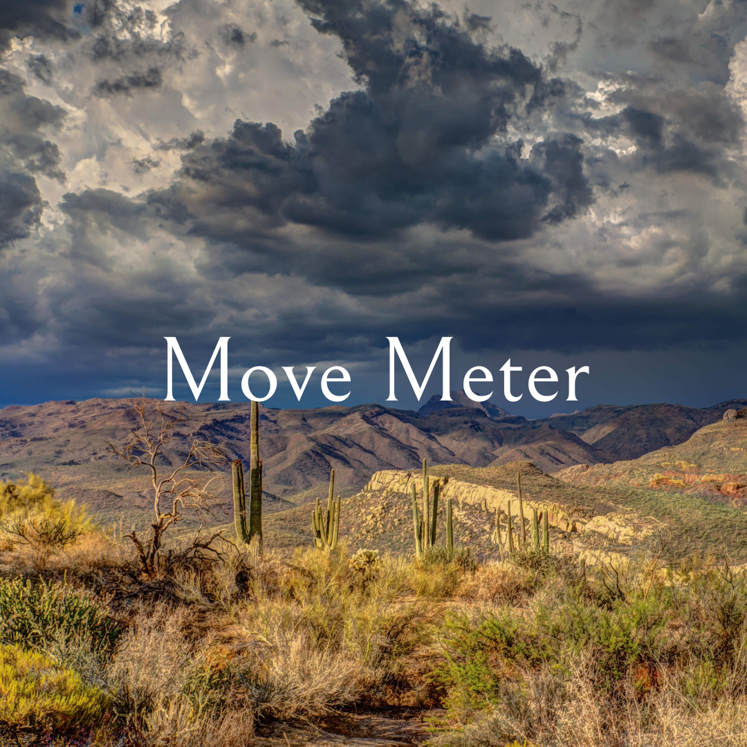 Tucson (29)